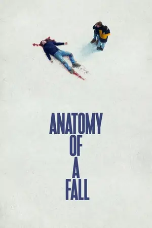Anatomy of a Fall (2023) Hindi Dubbed Poster