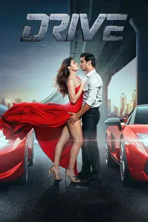 Drive (2019) Hindi HD Poster