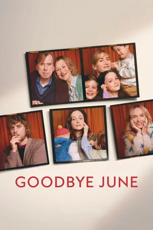 Goodbye June (2025) Hindi Dubbed Netflix Poster