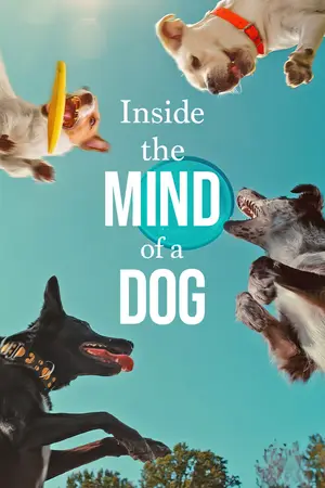 Inside the Mind of a Dog (2024) Hindi Dubbed Netflix Poster