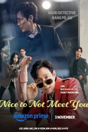 Nice to Not Meet You (2025) Hindi Season 1 Complete Poster