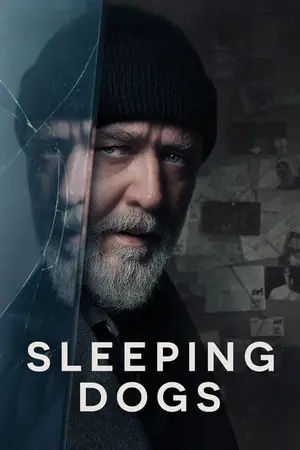 Sleeping Dogs (2024) Hindi Dubbed Poster