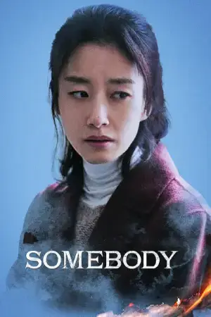 Somebody (2025) Hindi Dubbed AMZN Poster