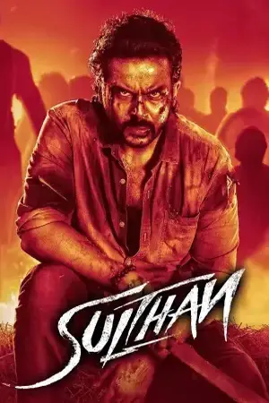 Sulthan (2021) Hindi Dubbed AMZN Poster