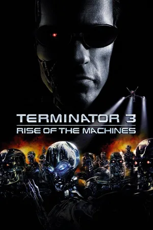 Terminator 3: Rise of the Machines (2003) Hindi Dubbed Poster